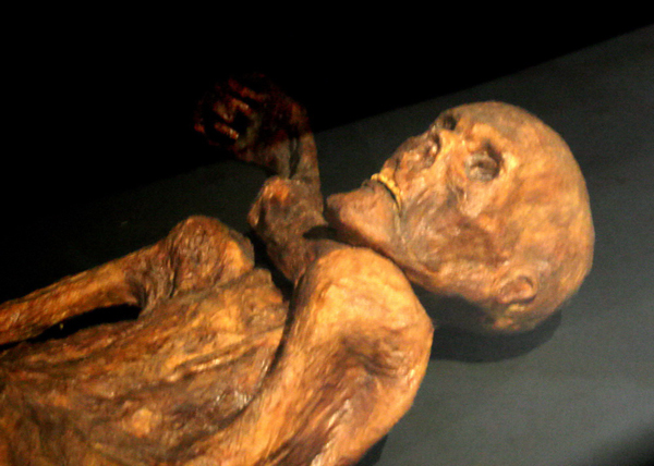 Datei:Ötzi.jpg