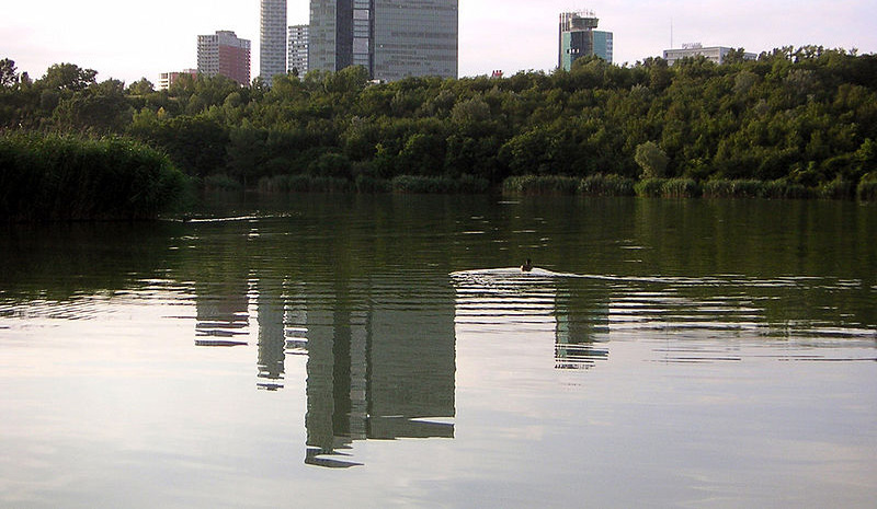 Datei:10 Teich Wienerberg.jpg