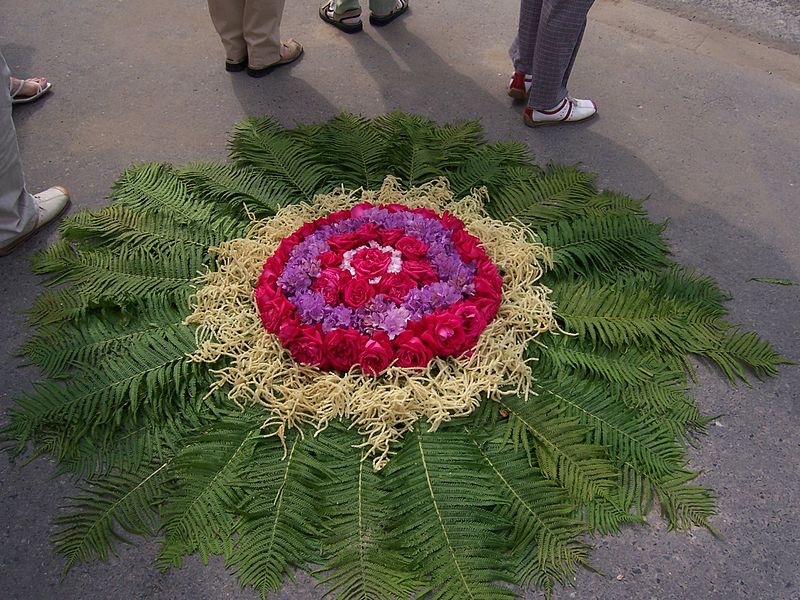 Datei:Blumenteppich Fronleichnamsprozession.jpg