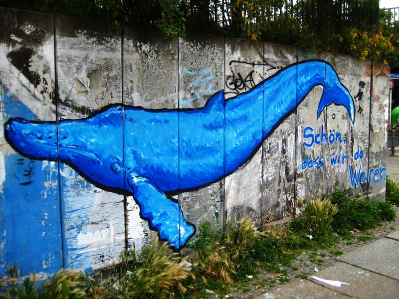 Datei:Buckelwal Graffiti.jpg