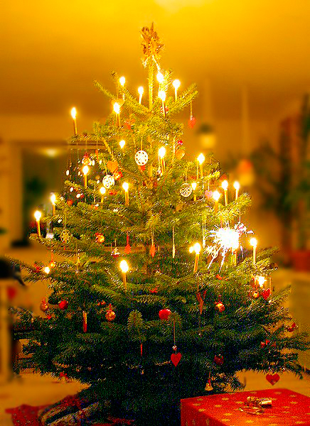 Datei:Christbaum in Wohnzimmer.jpg