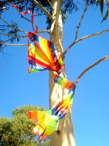 Datei:Drachen im Baum.jpg