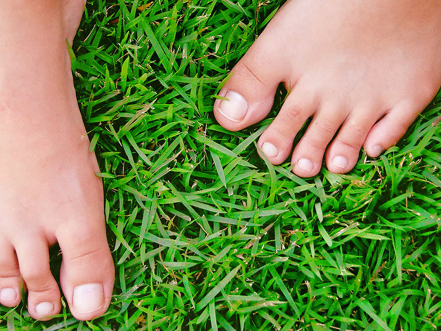 Datei:Füße im Gras.jpg