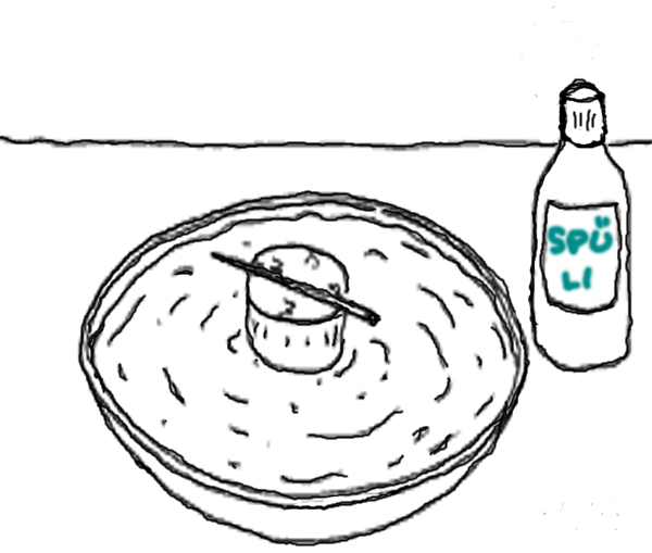 Datei:Kompass selbst gemacht.jpg