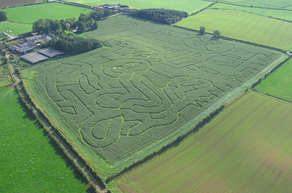 Datei:Labyrinth im Maisfeld.jpg