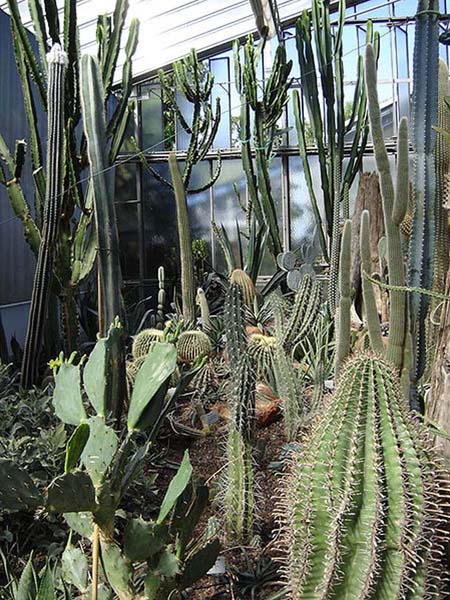 Datei:Luisenpark Mannheim Pflanzenschauhaus.jpg