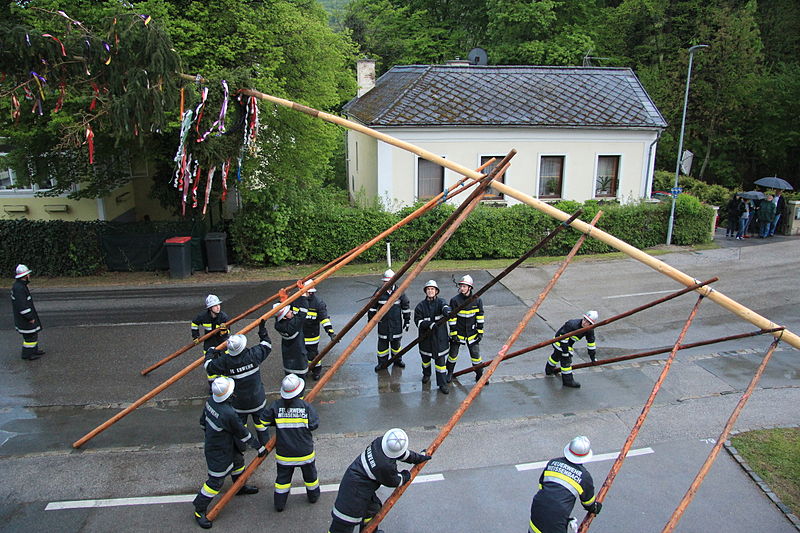 Datei:Maibaumaufstellen.jpg