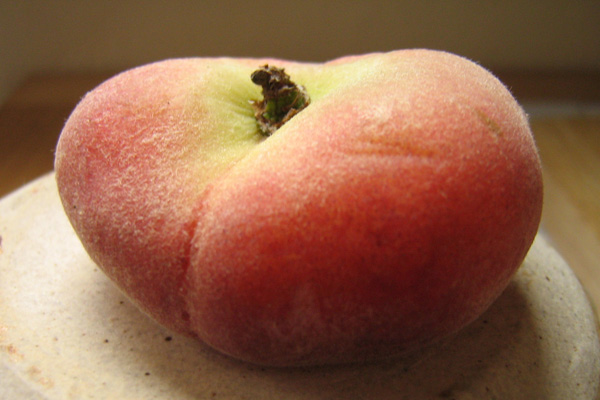 Datei:Pfirsichsorte Saturn.jpg