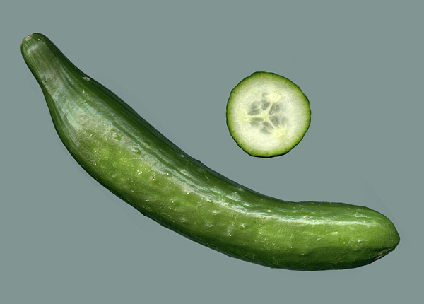 Datei:Querschnitt Gurke.jpg