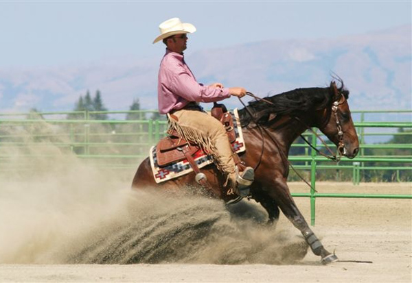 Datei:Reining Sliding Stop.jpg