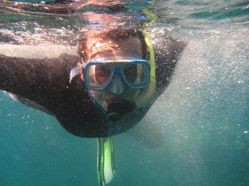 Datei:Schnorcheln im Meer.jpg