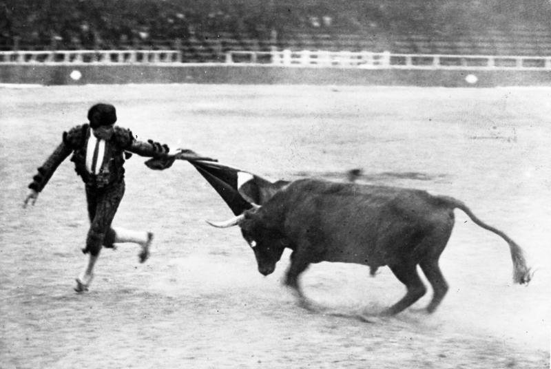 Datei:Stierkampf.jpg
