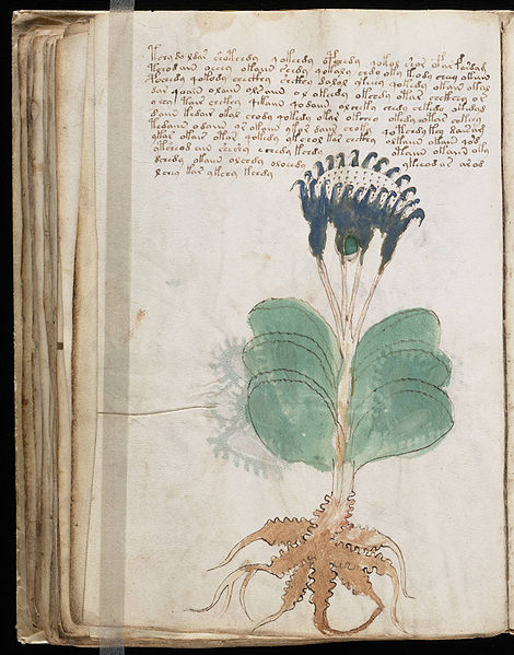 Datei:Voynich Manuscript.jpg