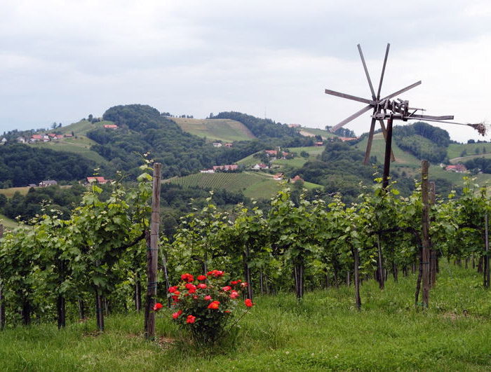 Datei:Weinbau Stmk.jpg