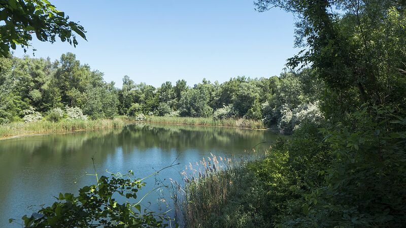 Datei:10 Laaer Wald.jpg