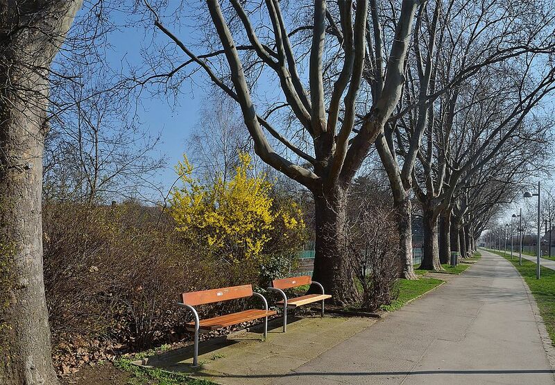 Datei:11 Am Kanal.jpg