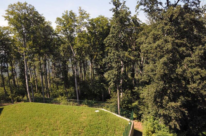 Datei:16 Ottakringer Wald.jpg