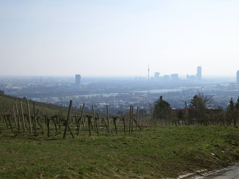 Datei:19 Nussdorfer Weinberge.jpg