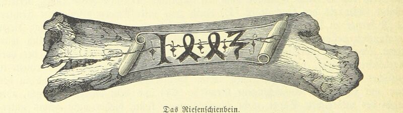 Datei:1 Stephansdom Mammutknochen.jpg