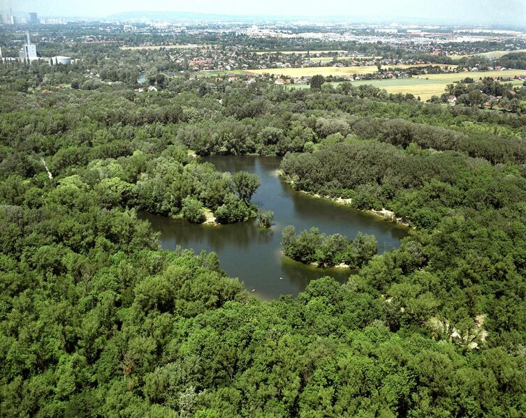 Datei:22 Lobau Luftaufnahme.jpg