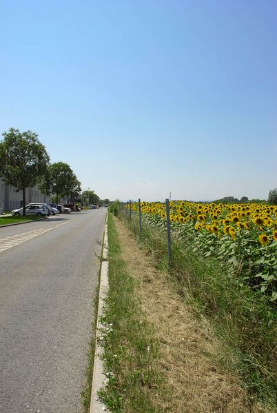 Datei:22 Süßenbrunner Straße.jpg