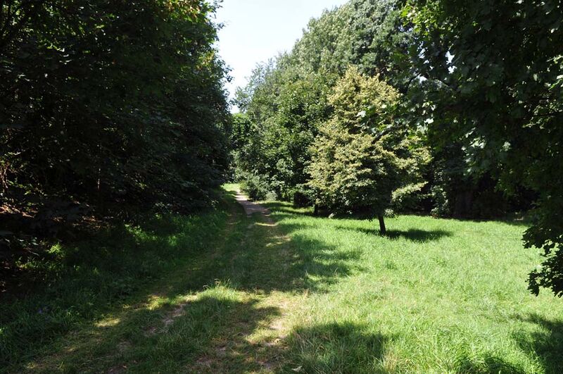 Datei:23 Draschepark.jpg