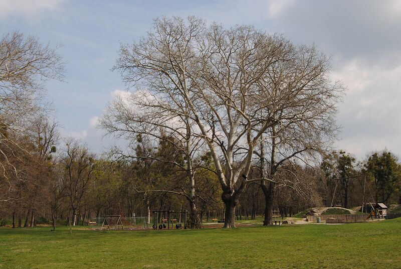 Datei:2 Jesuitenwiese Prater.jpg