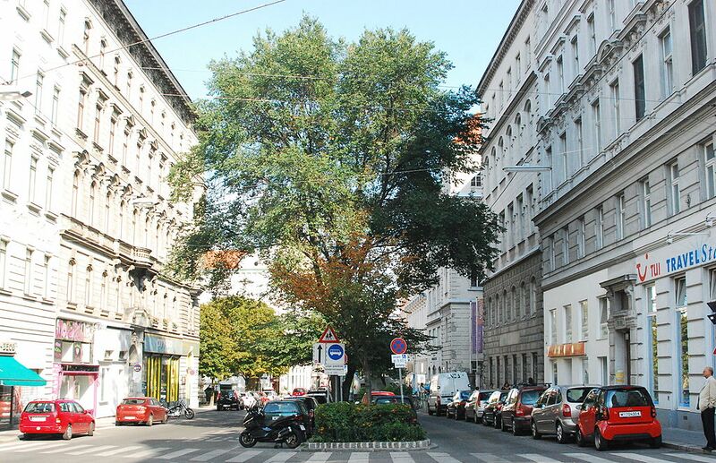 Datei:7 Burggasse.jpg