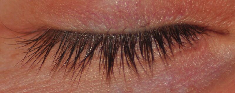 Datei:Auge geschlossen.jpg