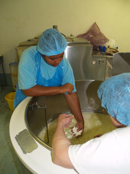 Datei:Ausbildung Käserei.jpg