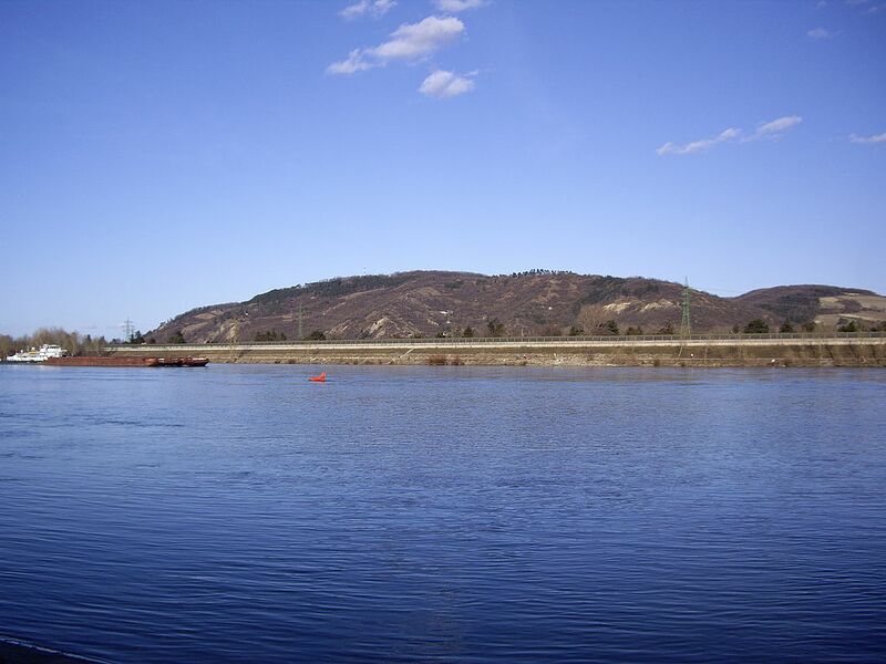 Datei:Berg Bisamberg.jpg