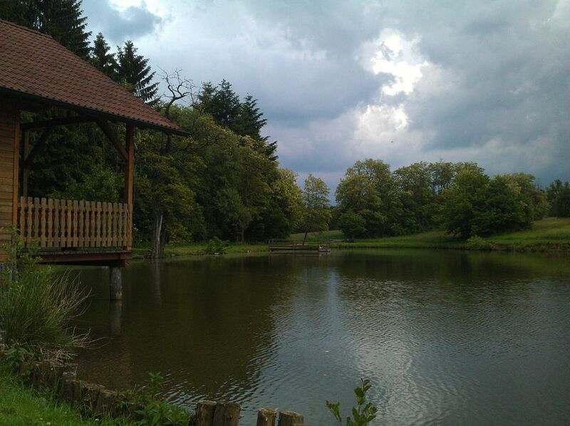 Datei:Burgruine Landsee Teich.jpg