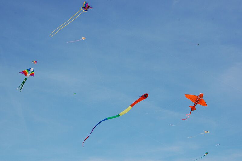 Datei:Drachen an Leinen.jpg