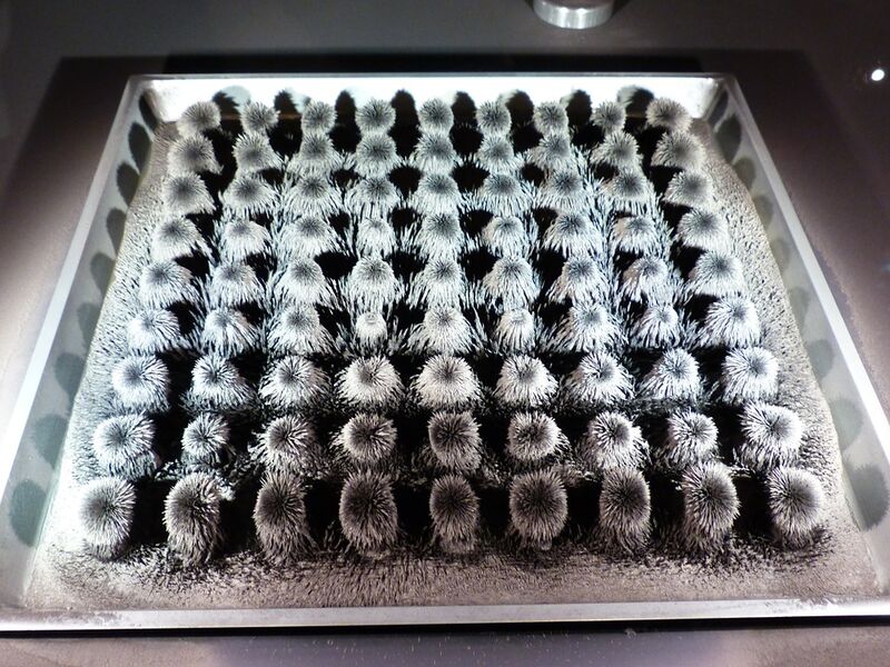 Datei:Eisenpulver auf Magnet.jpg