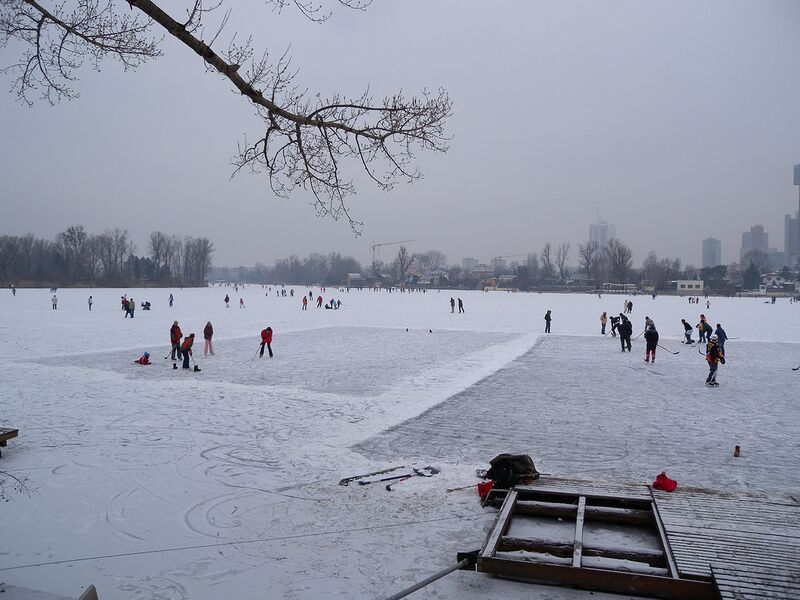 Datei:Eislaufen Alte Donau.jpg
