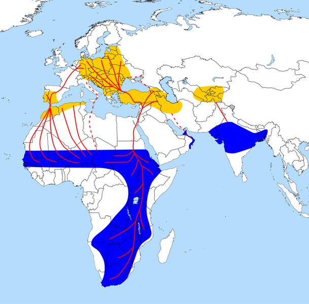 Datei:Flugkarte Storch.jpg