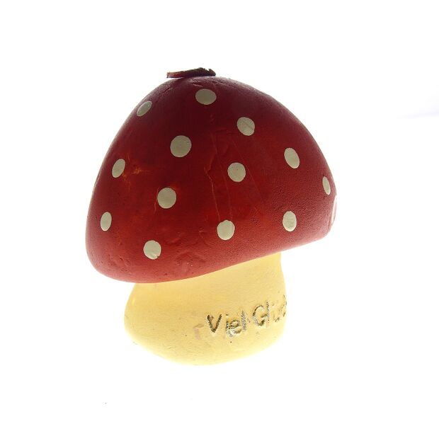 Datei:Glücksbringer Pilz.jpg