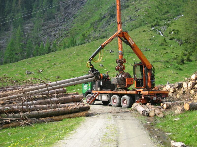 Datei:Holztransport.jpg