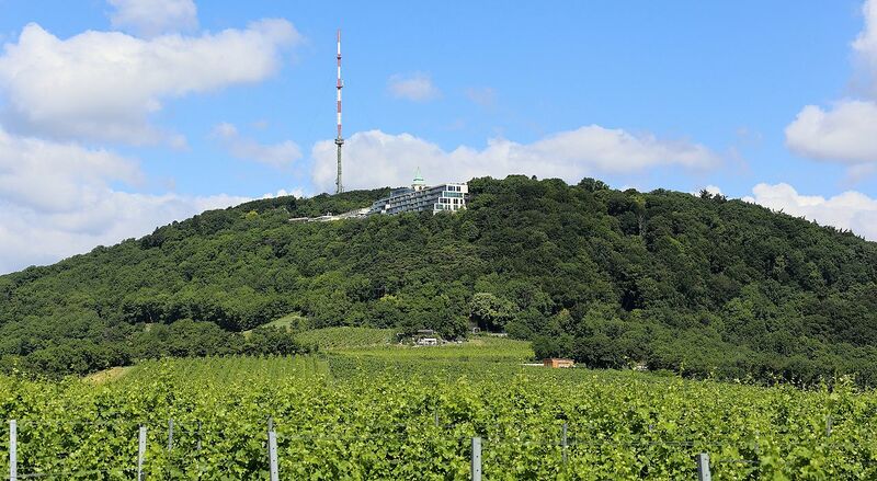 Datei:Kahlenberg.jpg