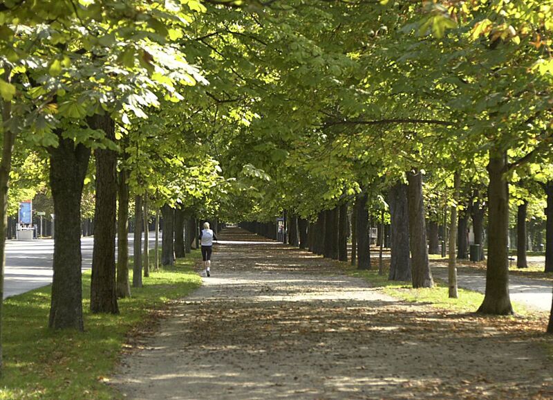 Datei:Laufen in Wien.jpg