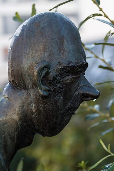 Datei:Laufende Nase.jpg