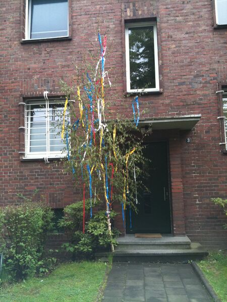 Datei:Maibaum stecken.jpg