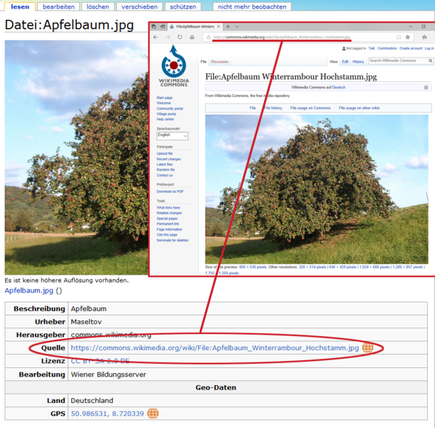 Datei:Quelle verlinkt.png