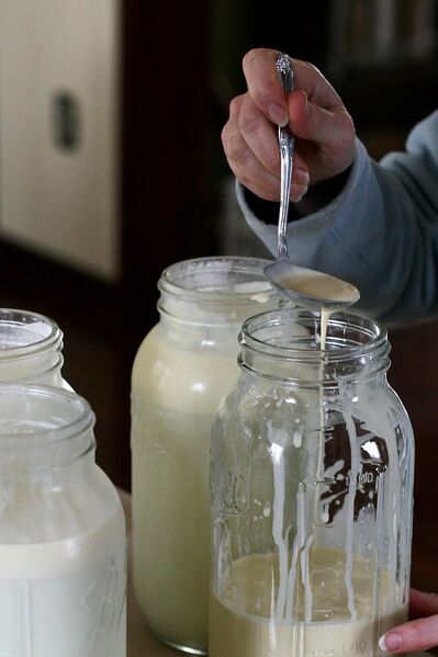 Datei:Rahm abschöpfen.jpg