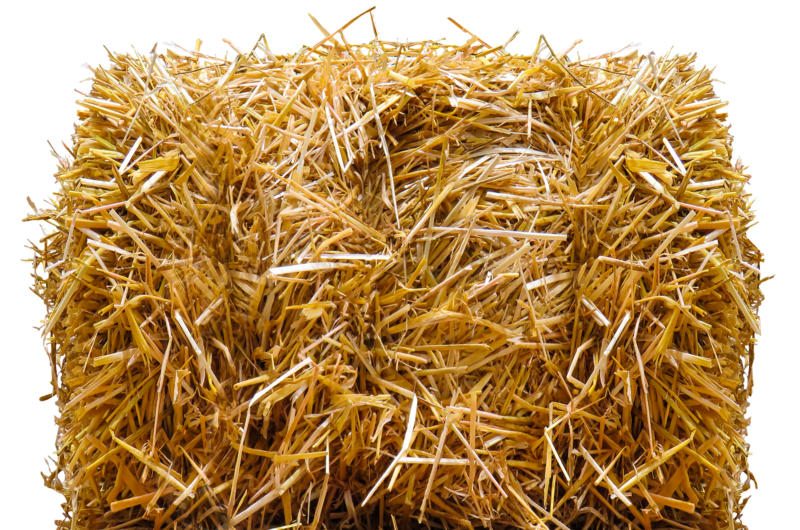 Datei:Stroh.png