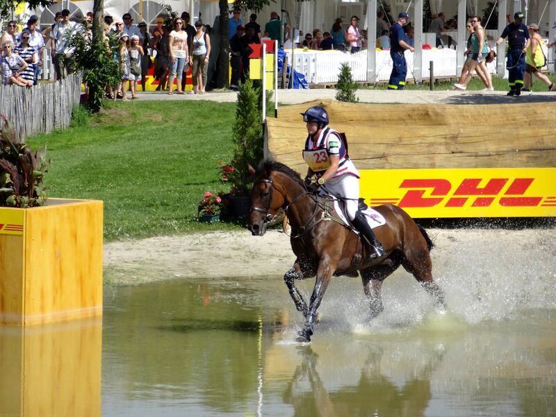 Datei:Vielseitigkeit Wasser.jpg