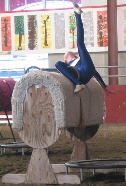 Datei:Voltigieren Training.jpg