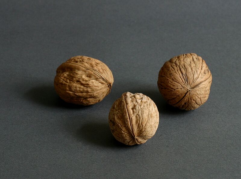 Datei:Walnüsse.jpg