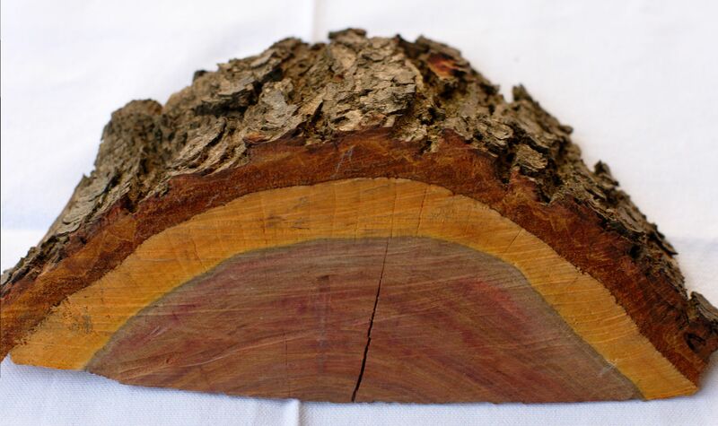 Datei:Zwetschkenholz 2.jpg